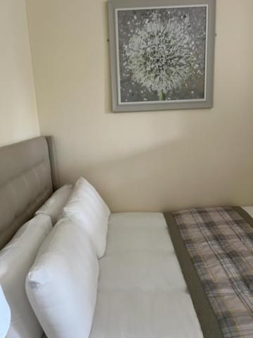 Waverley Inn Flat Inverness Exterior foto